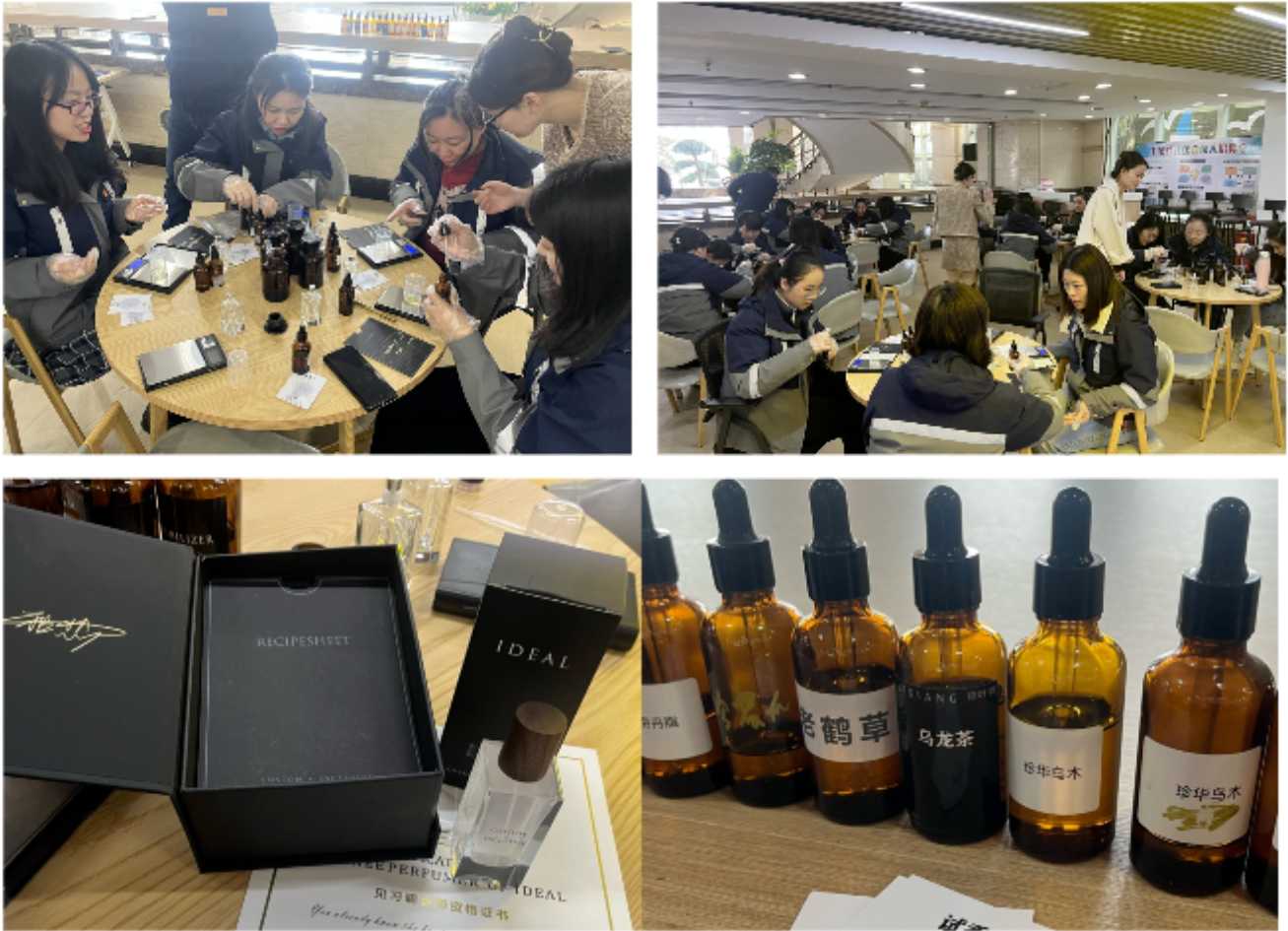 新利体育luck18·(中国)官方网站
